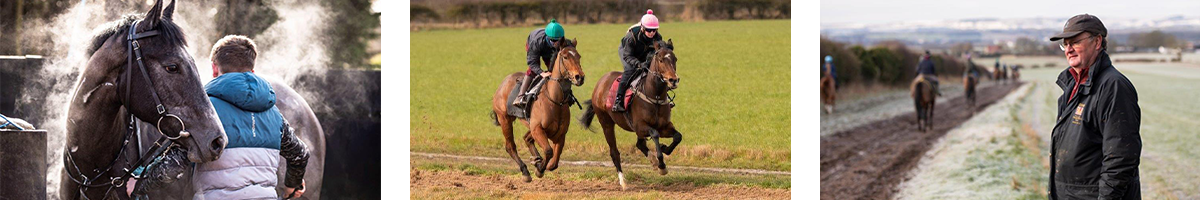 Michael Dods : Racehorse Trainer