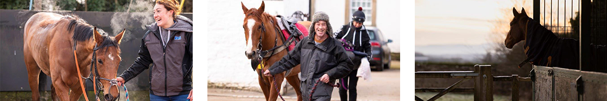 Michael Dods : Racehorse Trainer
