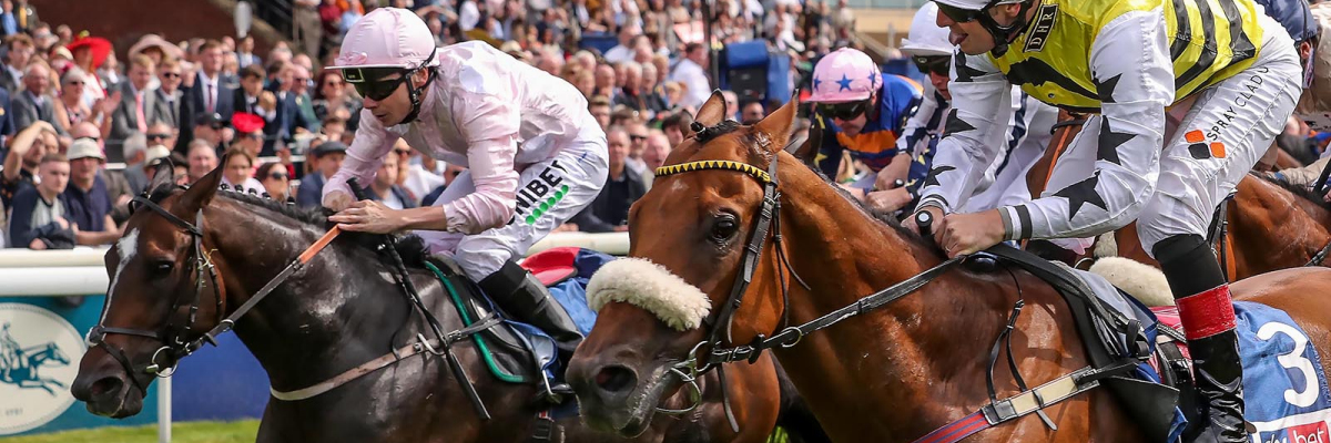 Dakota Gold : Sky Bet And Symphony Group Handicap at York August 2019